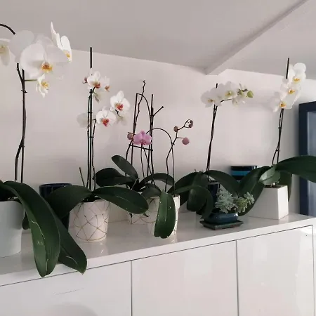 Bed and Breakfast Domaine Des Deux Rivieres