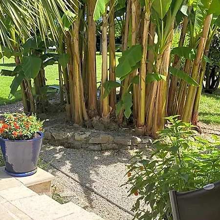 Bed & Breakfast Domaine Des Deux Rivieres Meilhan-sur-Garonne