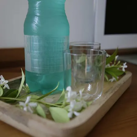 Domaine Des Deux Rivieres *