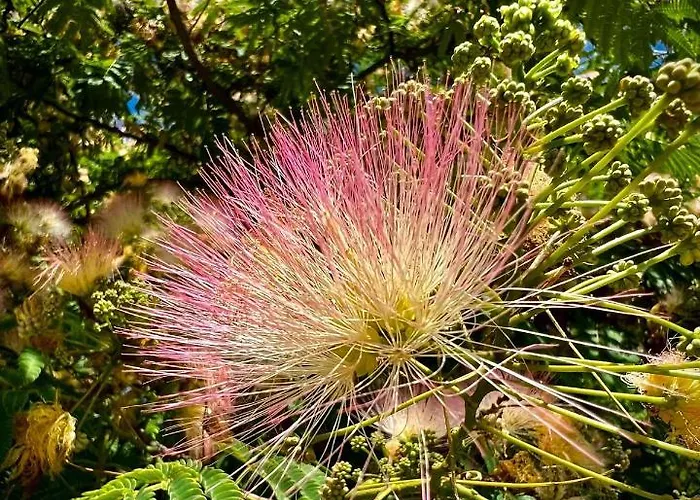 Frühstückspension Domaine Des Deux Rivieres *